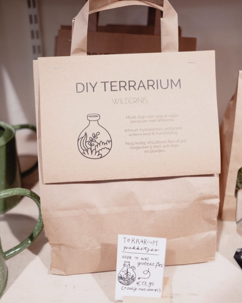 DIY Terrarium te koop bij Wildernis Amsterdam