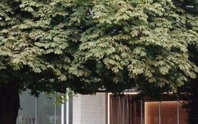 Museum Voorlinden, fotogeniek museum