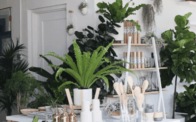 Cadeau voor de plantenliefhebber – leuke groene tips