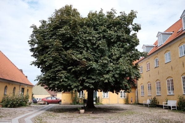 Stege, Møns Klint Denemarken