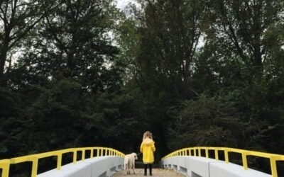 Mobiele fotografie anno 2017 | Huawei Mate 9 review