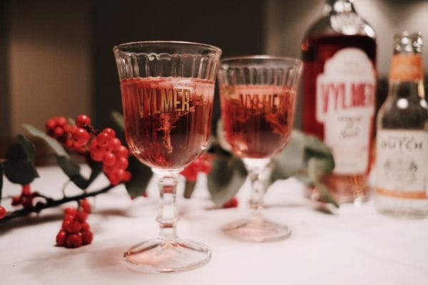 vylmer-met-tonic