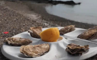 Top tips voor een vakantie naar Bretagne