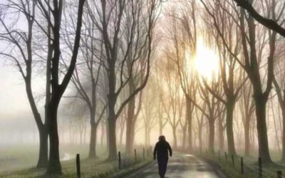 De favoriete Instagram accounts van @groovypat