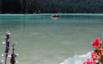 5 Goede redenen voor een vakantie met de kinderen naar Zuid-Tirol