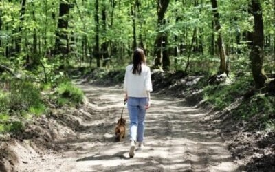 Een wandelvakantie vanuit Landgoed Zwaluwenburg