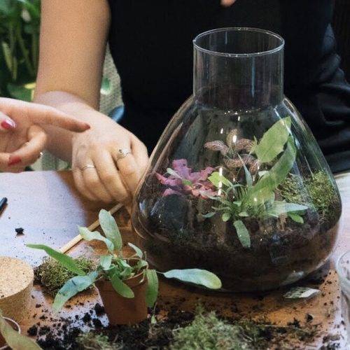 workshop terrarium maken wildernis - Leuke workshops om te volgen in en rondom Amsterdam