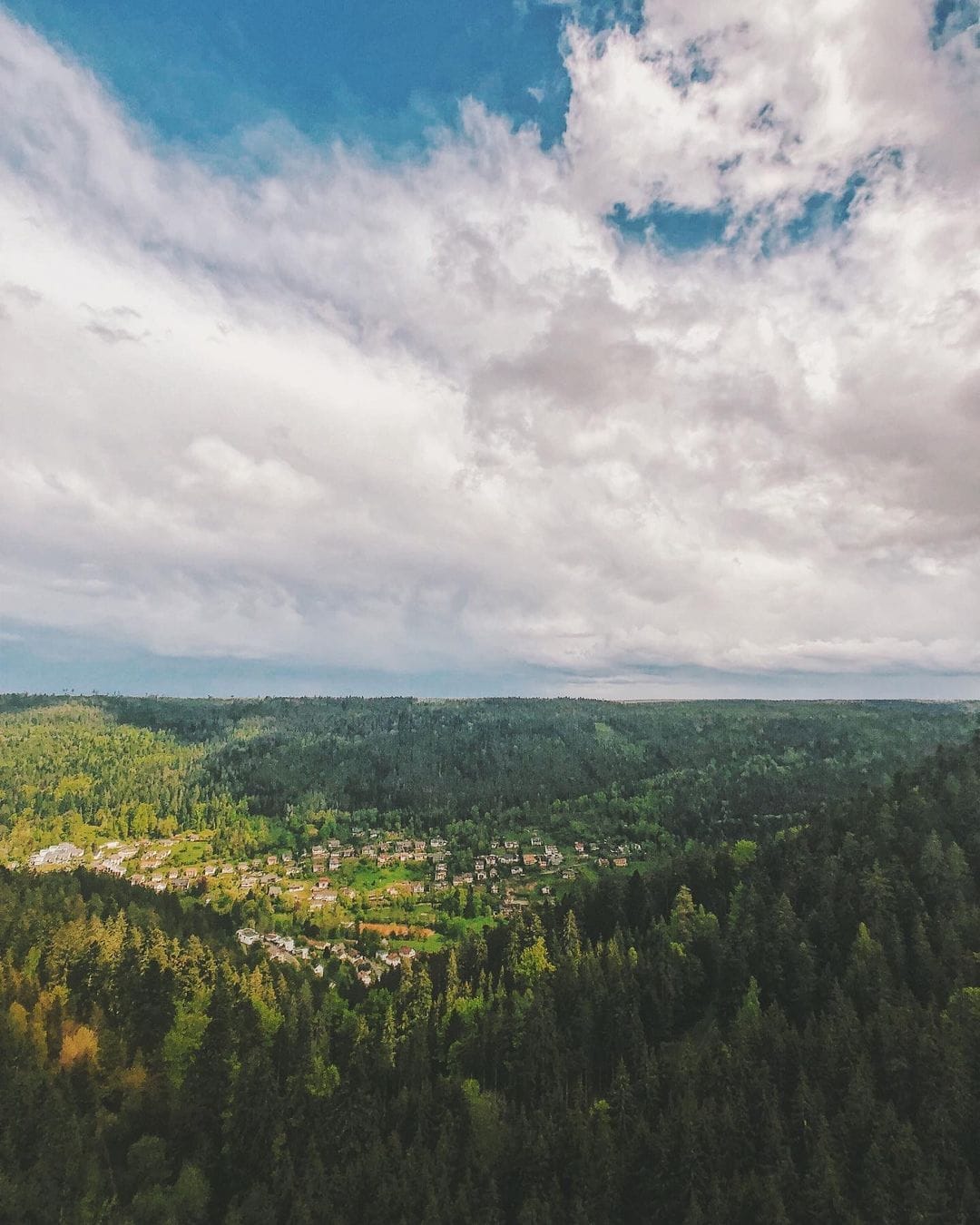 vakantie-naar-zwarte-woud