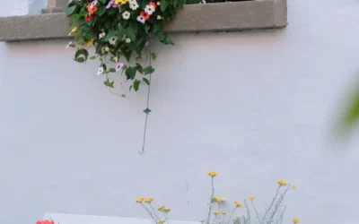 Tips voor een dagje naar Hanzestad Harderwijk