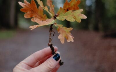 Fjällräven Kiruna padded parka; de ultieme jas voor de herfst