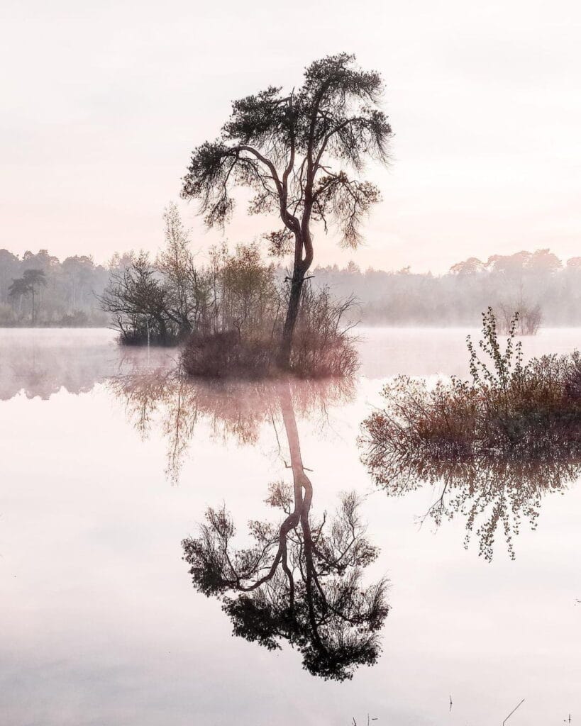 101137058 275461776973417 4776421626547533944 n - De mooiste fotospots in Nederland