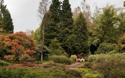 De mooiste fotospots in Nederland