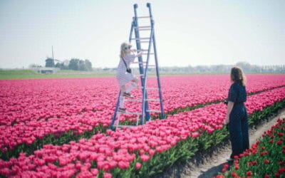 Overnachten tussen de tulpen in Noord-Holland