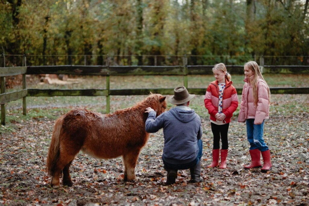 91EF3F61 6F89 4BDF 8517 11D9734F43A5 2133 000000D11EF99020 e1614780810327 - 5 x Uniek overnachten in Noord- Brabant