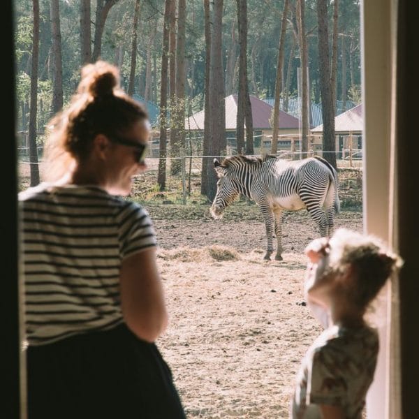 DSC 2191 e1524591457444 - 5 x Uniek overnachten in Noord- Brabant