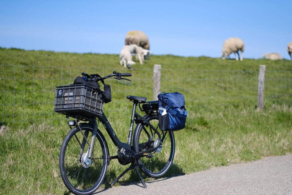 DSCF1972 - Een meerdaagse fietstocht met de fietstassen van New Looxs
