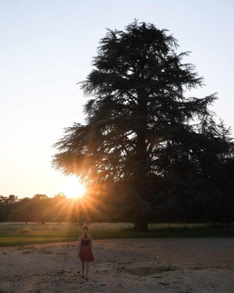 Chateau du Boisrenault tuin