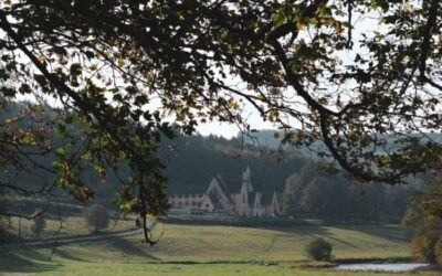 5-Daagse roadtrip door de Belgische Ardennen