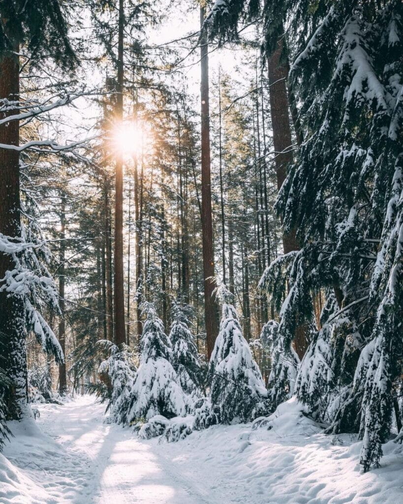 150928119 839579720106675 7550973996995250120 n 1 e1636969276200 - De beste foto (hot) spots van Nederland 2021