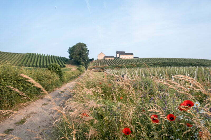 2021 Apostelhoeve kleinerformaat SimoneWittgen 2 scaled e1636969349382 - De beste foto (hot) spots van Nederland 2021