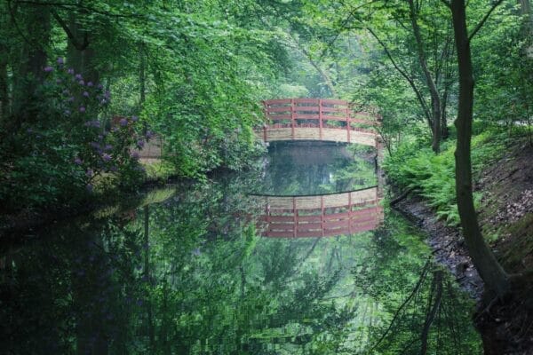 Ai Weiwei, The Bridge Without a Name, 2012 © Ai Weiwei - Photo: Joris Casaer