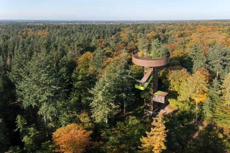 de bostoren putten veluwe gelderland liset verberne scaled e1636969372282 - De beste foto (hot) spots van Nederland 2021