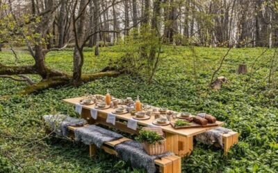 5 (reis) Tips voor puur genieten in Gotland, Zweden