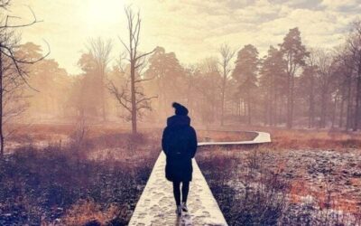 De mooiste vlonderpaden in Nederland: 6 bijzondere wandelingen