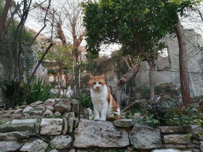 Athene; de wijk Anafiotika 