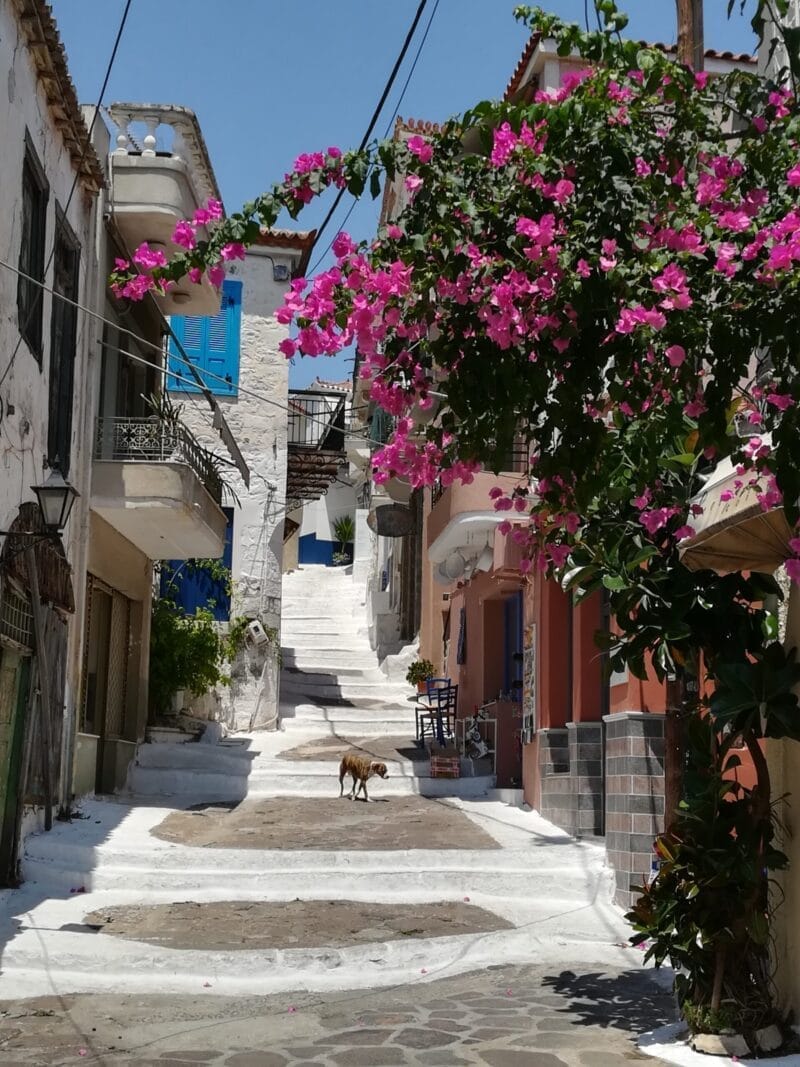 Bezoek het eiland Hydra