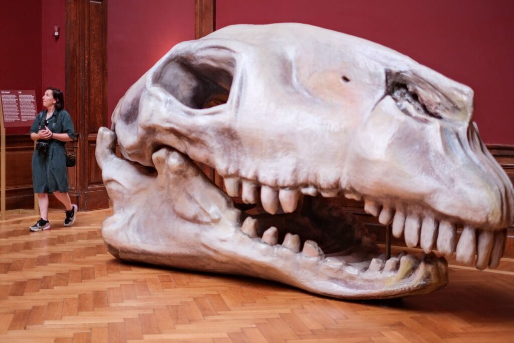 Koninklijk Museum voor Schone Kunsten Antwerpen (KMSKA)