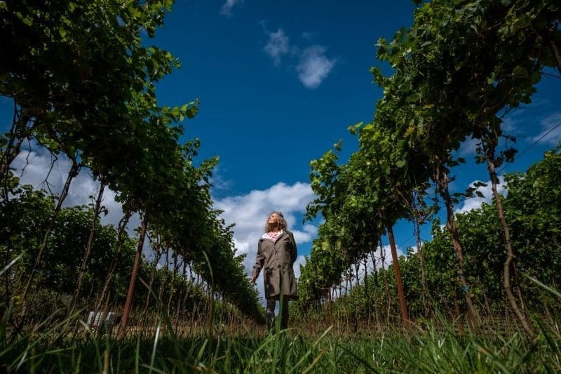 De lanen op, de velden in bij Haspengouw