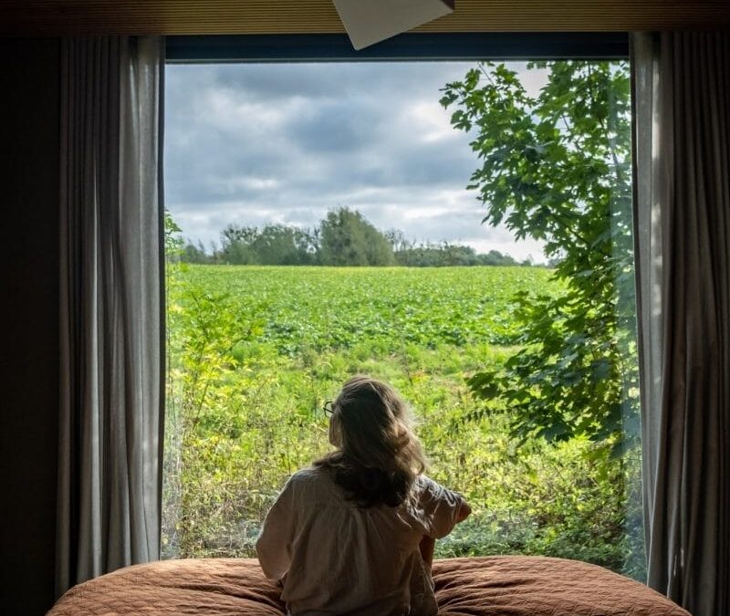 Cabin Bast: ecologische design weelde midden in de natuur (BE)