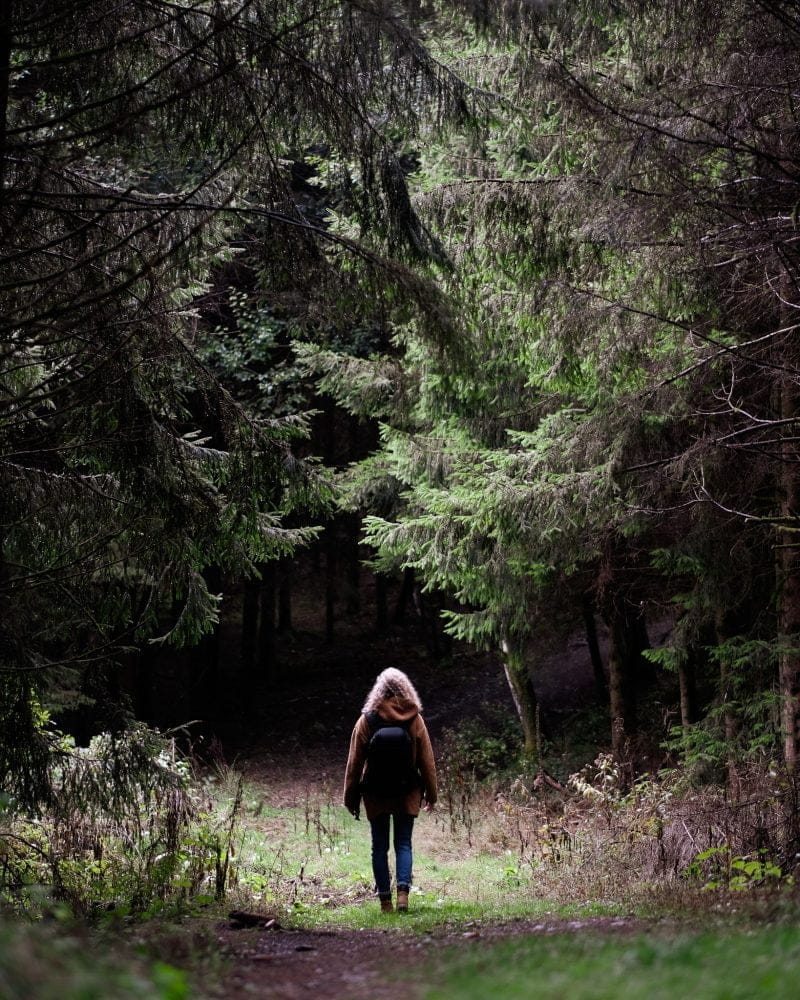 Wandelen bij Nutchel Ardennen