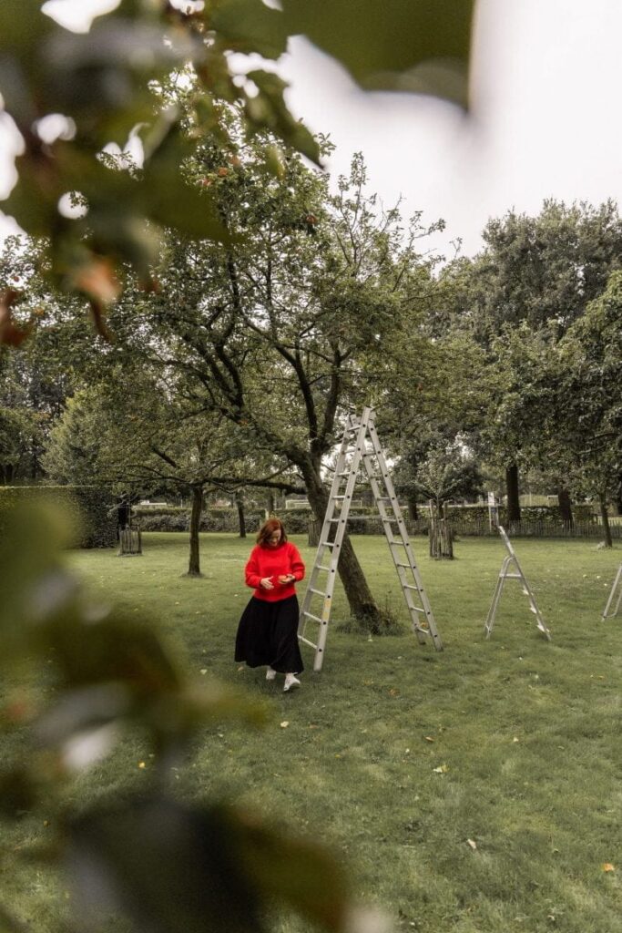 De Peel - Byloes in Deurne