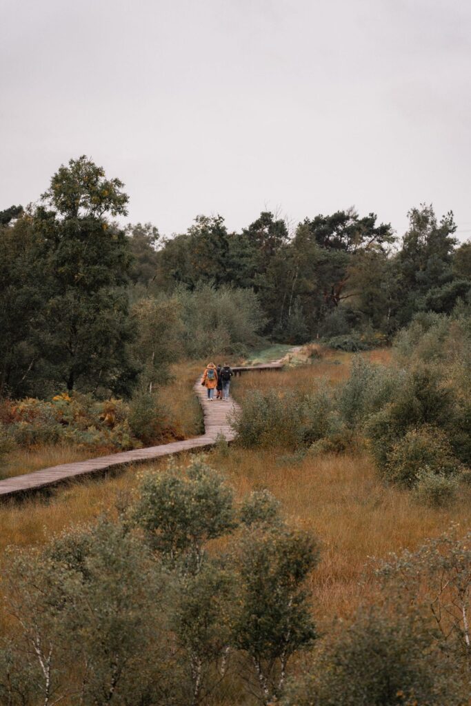 Spot de ‘big 3’ in Nationaal Park de Groote Peel