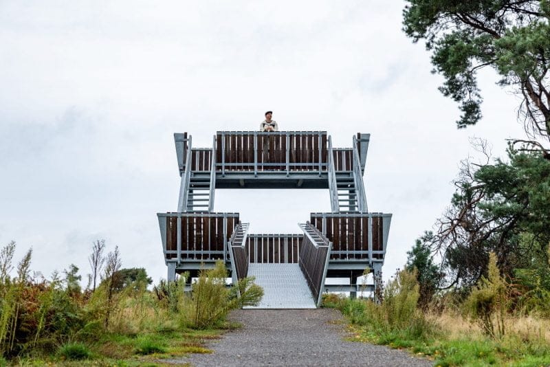 Spot de ‘big 3’ in Nationaal Park de Groote Peel