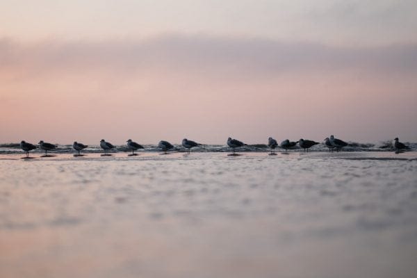 Zonsondergang bij Julianadorp aan Zee