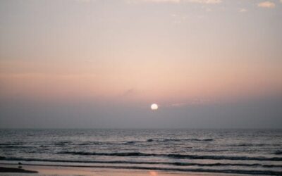 Een roadtrip van kust tot kunst in de Kop van Noord-Holland