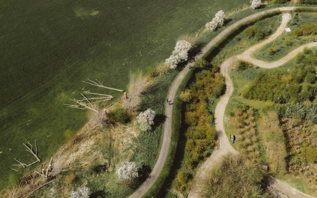 Fruitteler bezoeken in de Betuwe – proef de passie