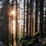 2023 Roadtrip Noorwegen - Roadtrip Noorwegen - 20 highlights en tips