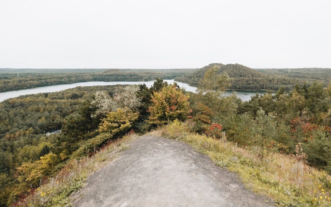 De Limburgse Maasvallei: 5 tips voor natuurliefhebbers