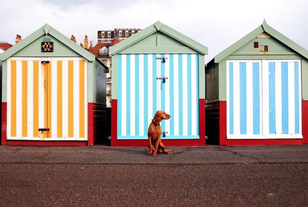 Foto spots Brighton - kleurrijke strandhuisjes