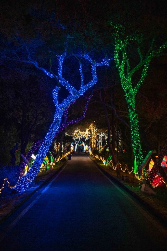 Illuminated trail - Malta