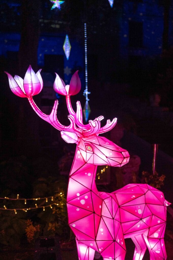 hert bij Illuminated trail - Malta