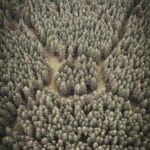 dji fly 20231209 141104 687 1702131917547 photo scaled 1 - Off grid in een CapCabin tenthouse in Drenthe