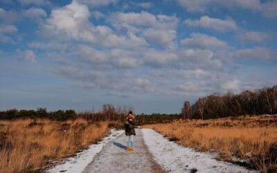 Nationaal Park De Maasduinen