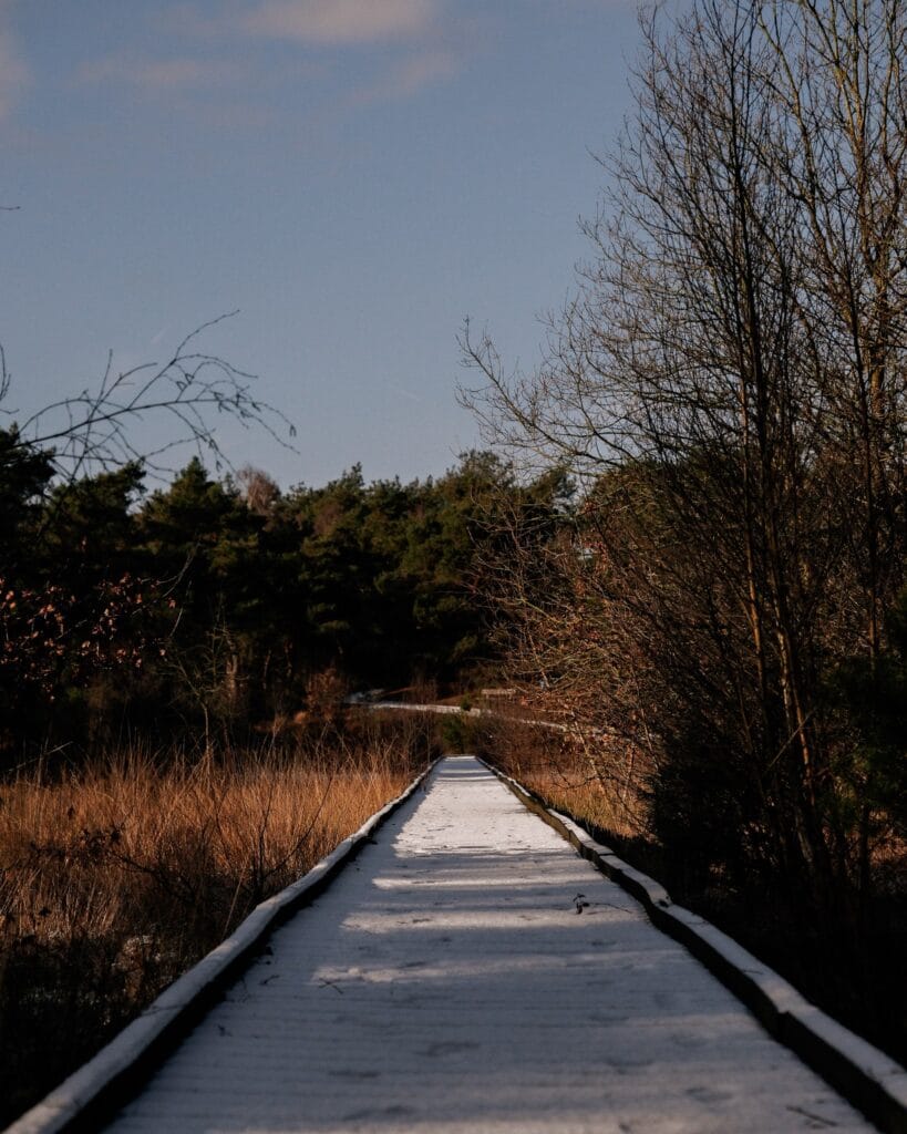 NP De Maasduinen Vlonderpad.