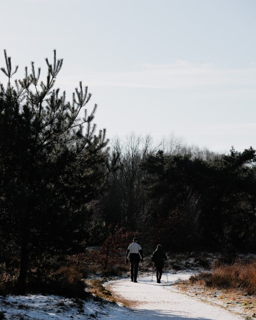 Wandelen in NP De Maasduinen