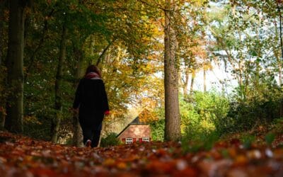 Van boomhut tot bosvilla, 4 tips voor een uniek Natuurhuisje